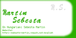 martin sebesta business card